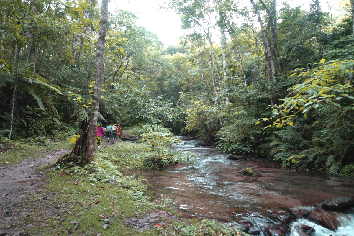 Trilha do Vale das Ostras em Eldorado - SP