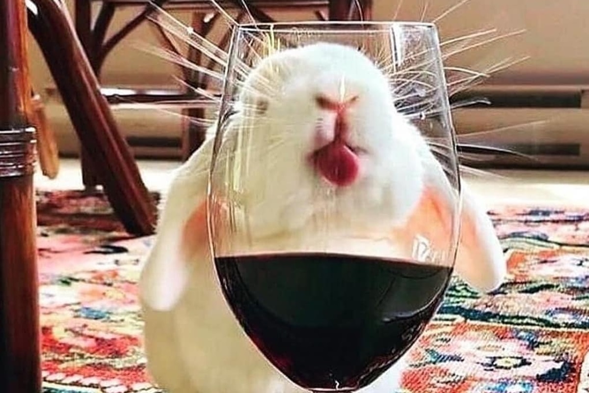 Vinhos Sorocamirim São Roque - SP