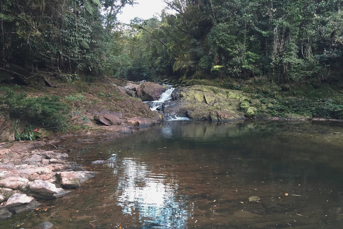 Trilha Cachoeira do Sagui em São Paulo
