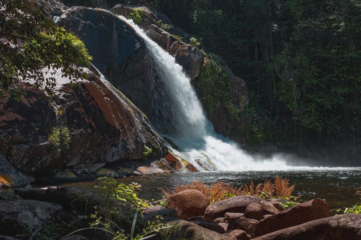 Trilha da Cachoeira Grande em Cananéia