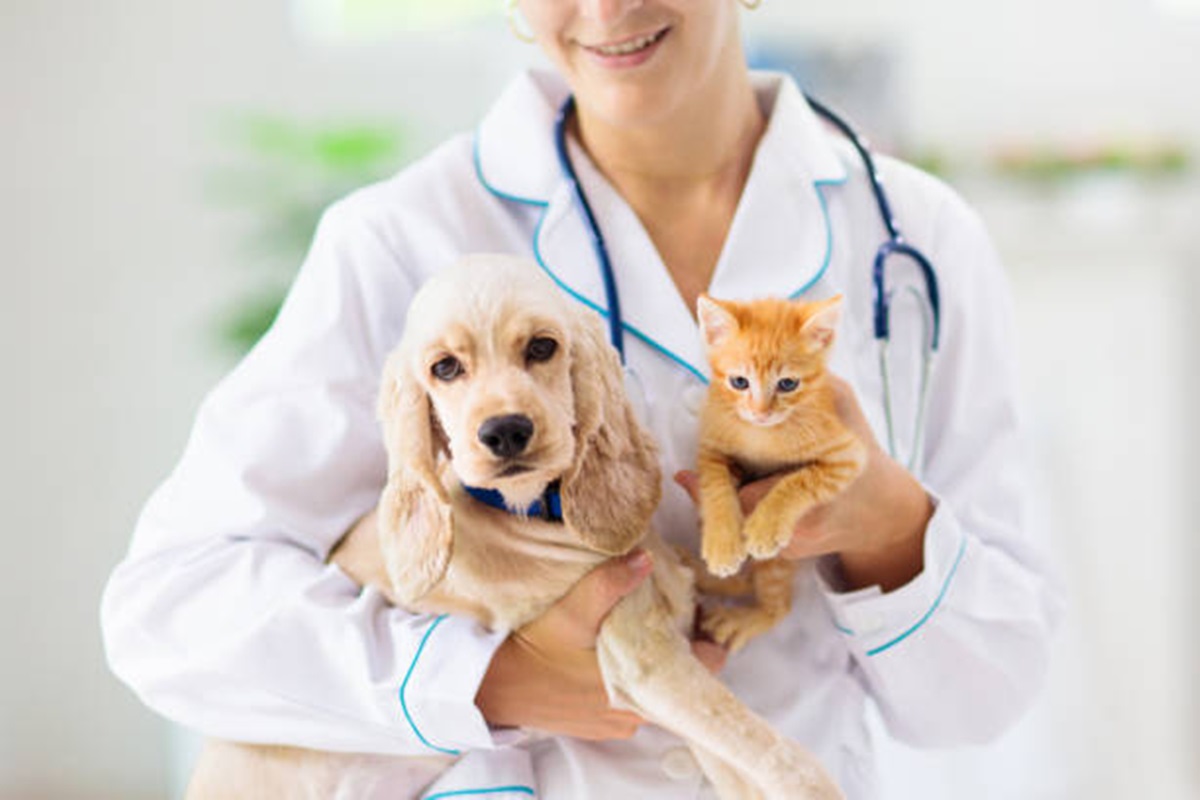 Clínicas Veterinárias em Aguaí - SP