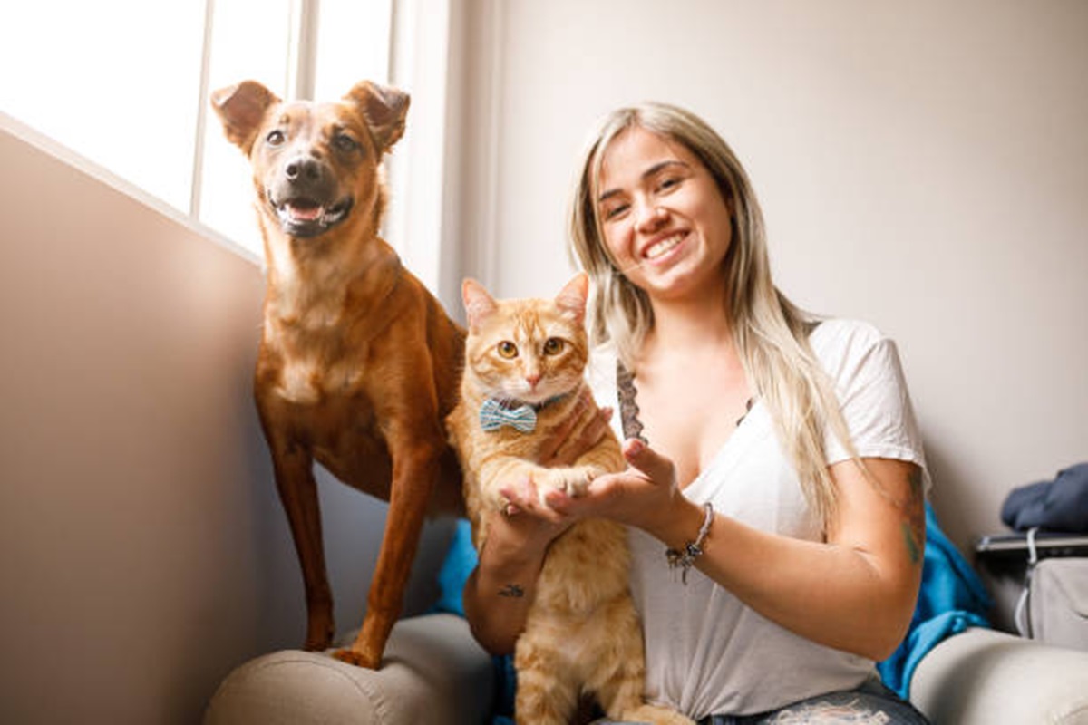 Clínicas Veterinárias em Apiaí - SP
