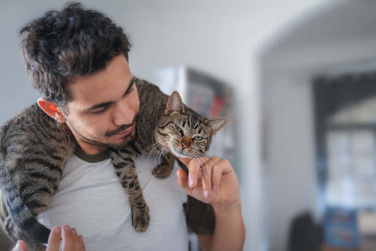 Clínicas Veterinárias em Auriflama - SP