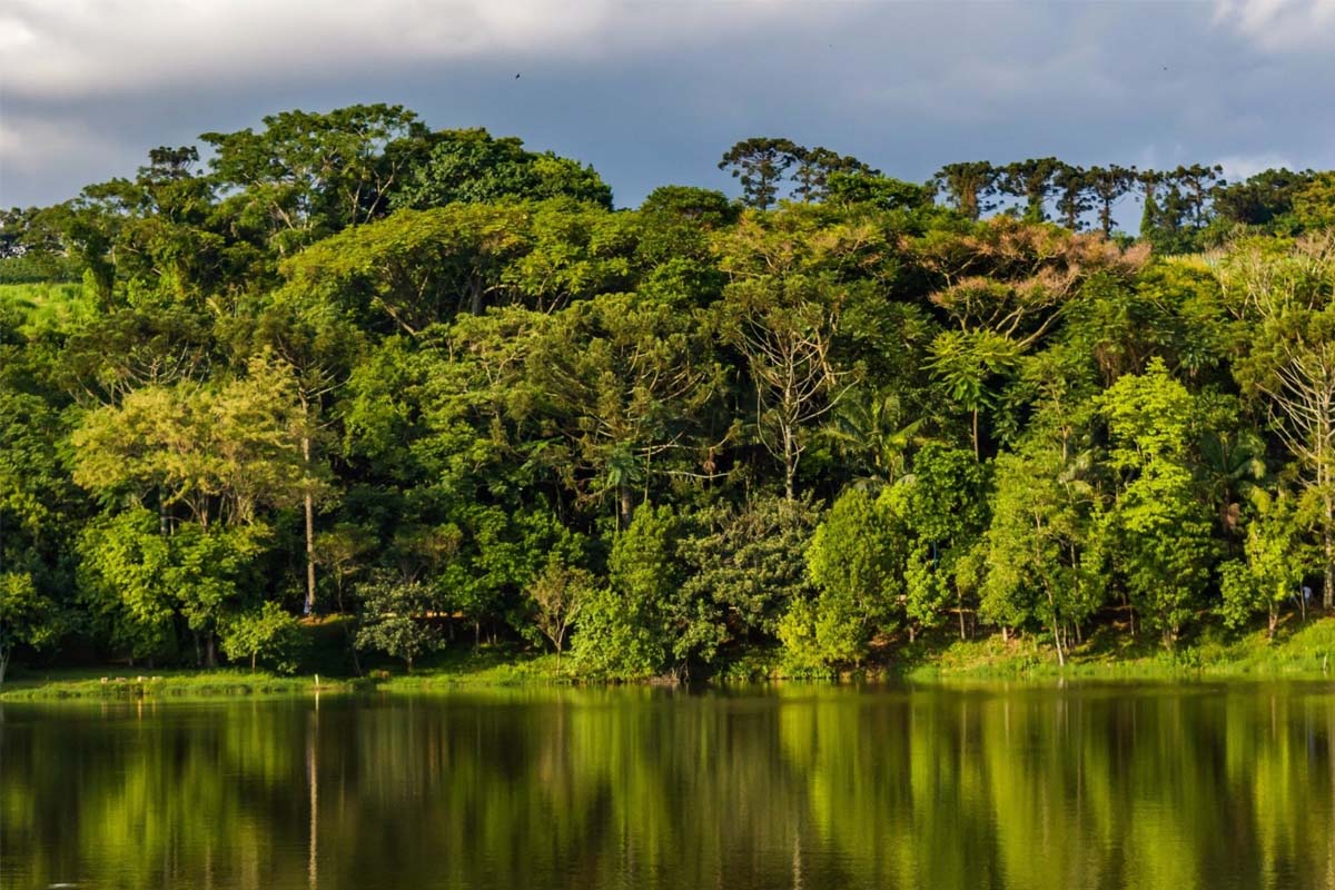 Lago Municipal de Espírito Santo do Pinhal