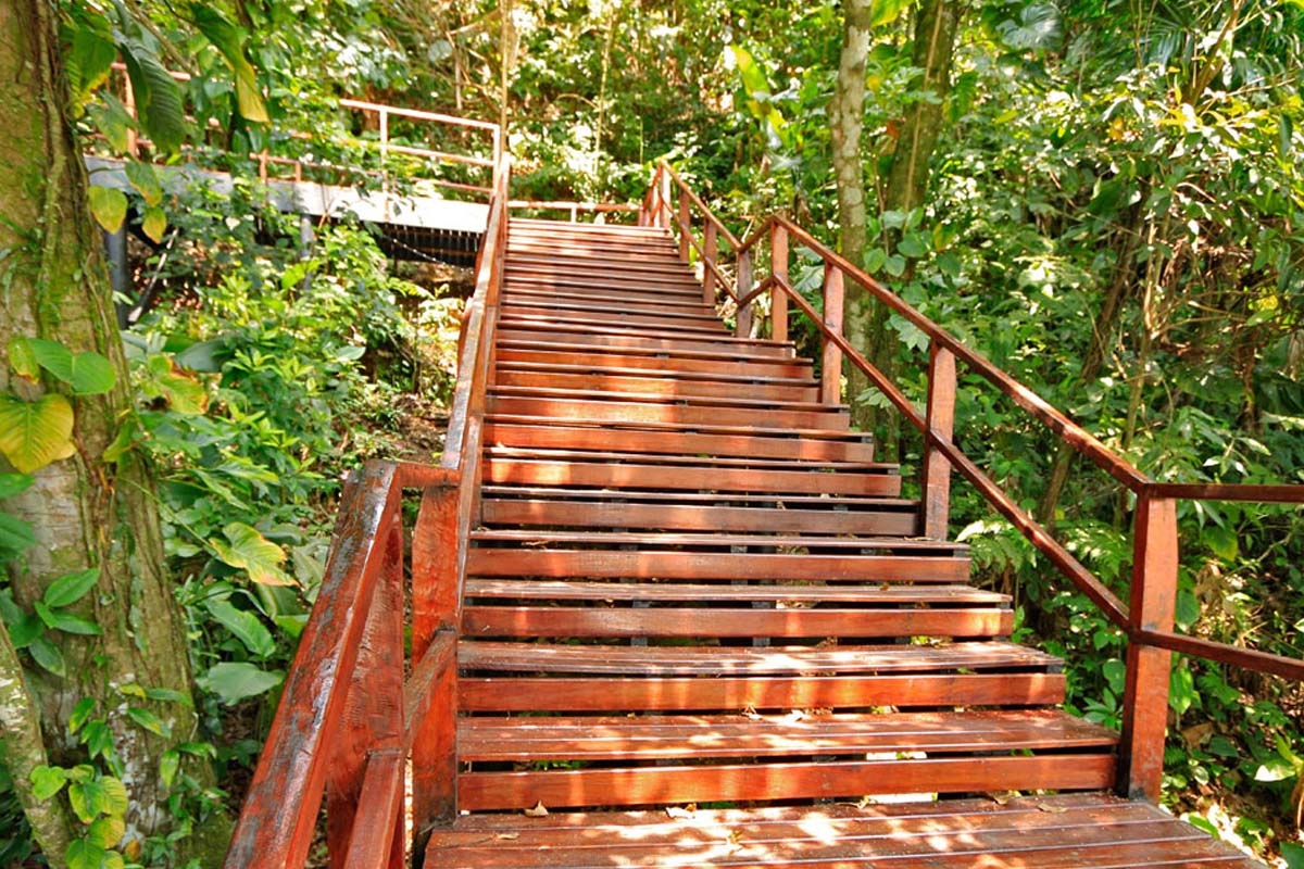 Morro da Padroeira - Mongaguá - SP