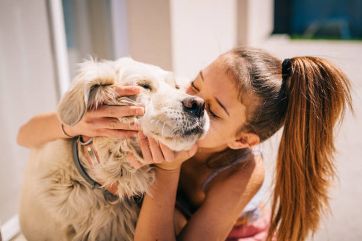 Clínicas Veterinárias em Bernardino de Campos - SP