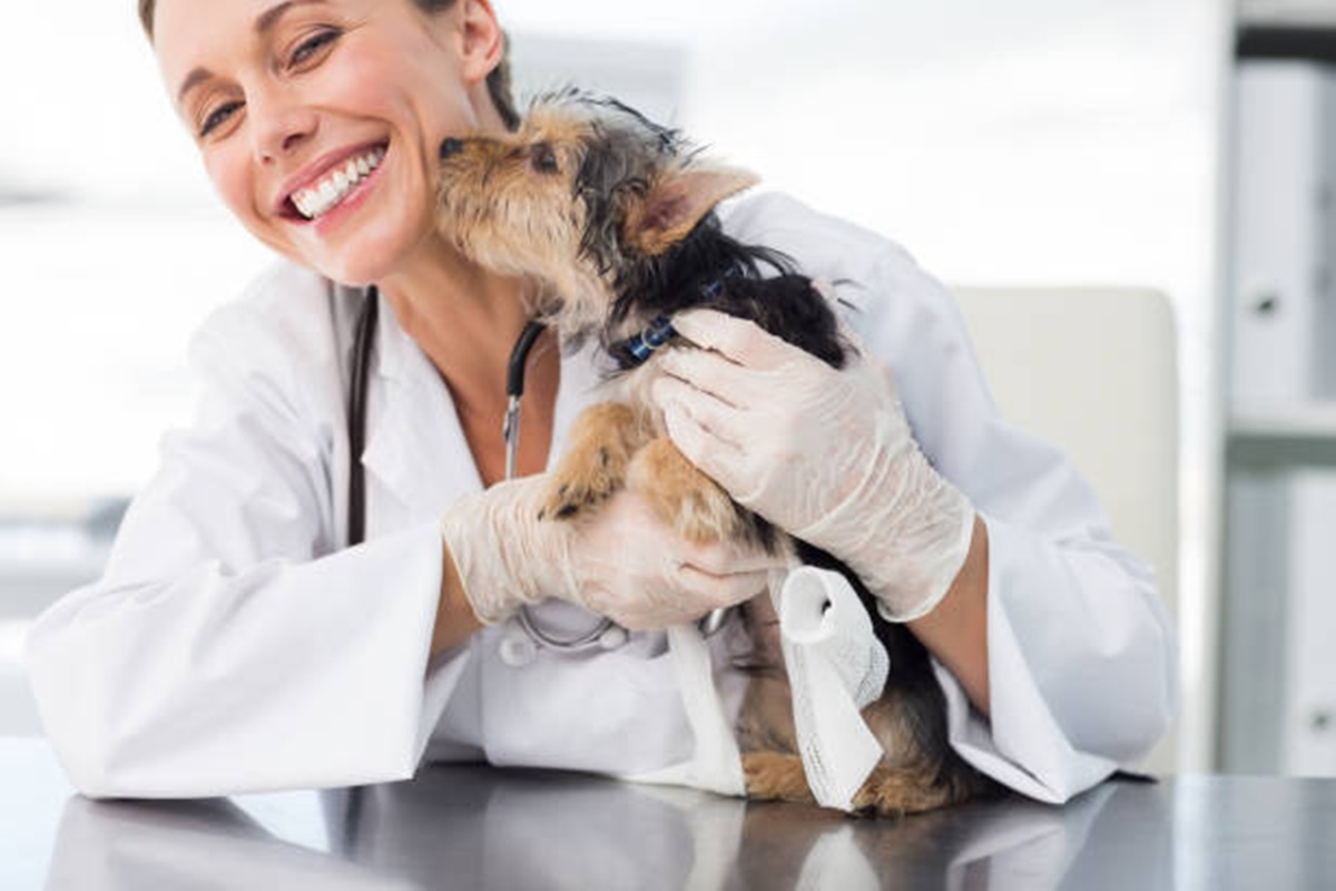 Clínicas Veterinárias em Buritama - SP