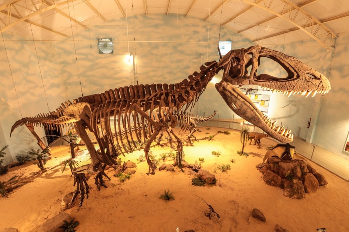 Museu de História Natural Zooparque Itatiba - SP