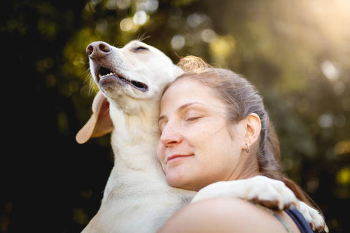 Clínicas Veterinárias em Casa Branca - SP