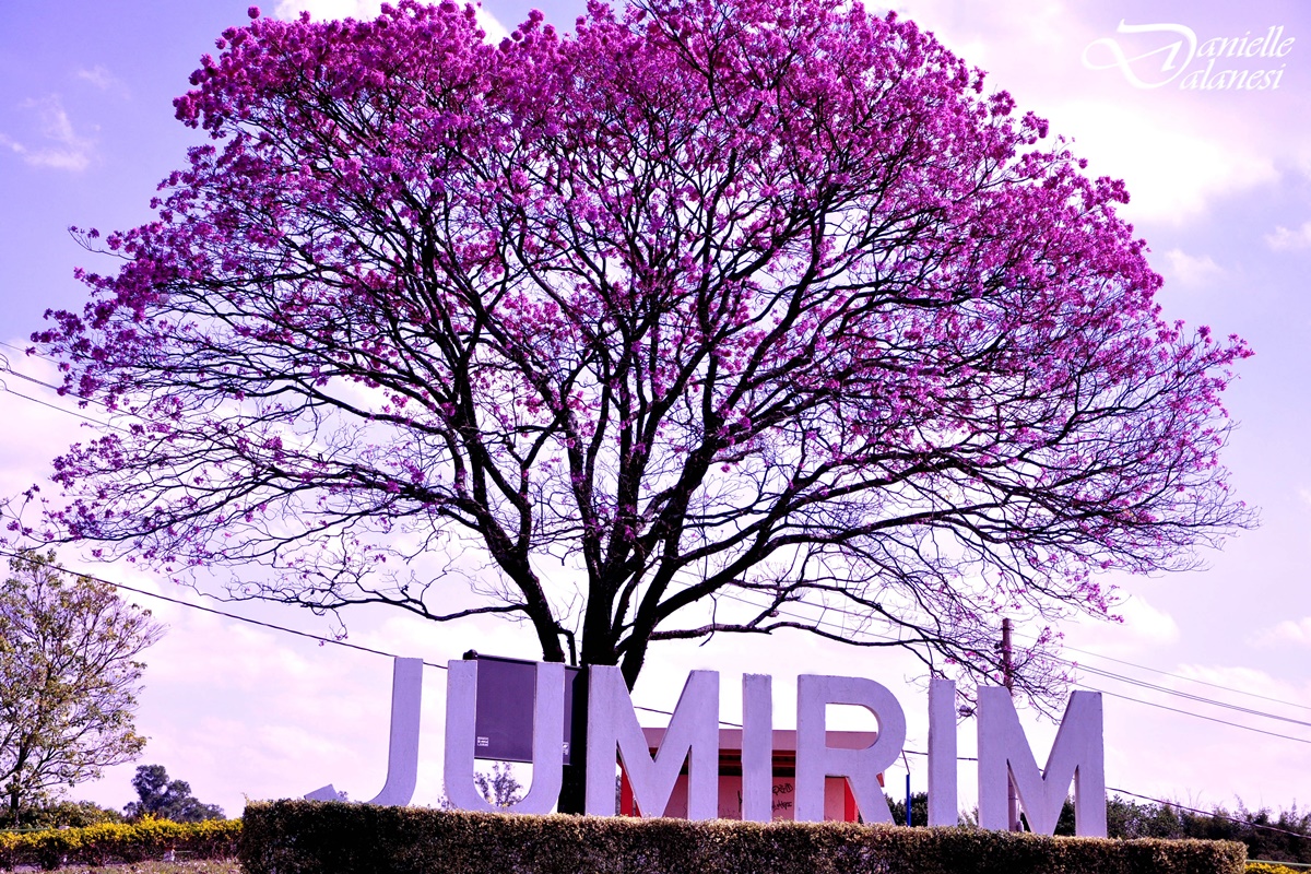 Prefeitura Municipal de Jumirim - SP