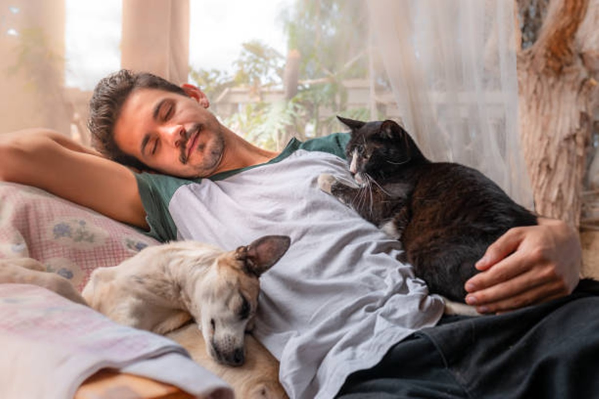 Clínicas Veterinárias em Embu-Guaçu - SP