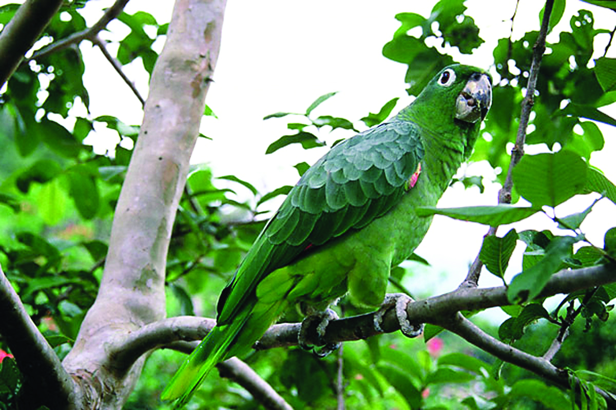 Parque Estadual de Ilhabela