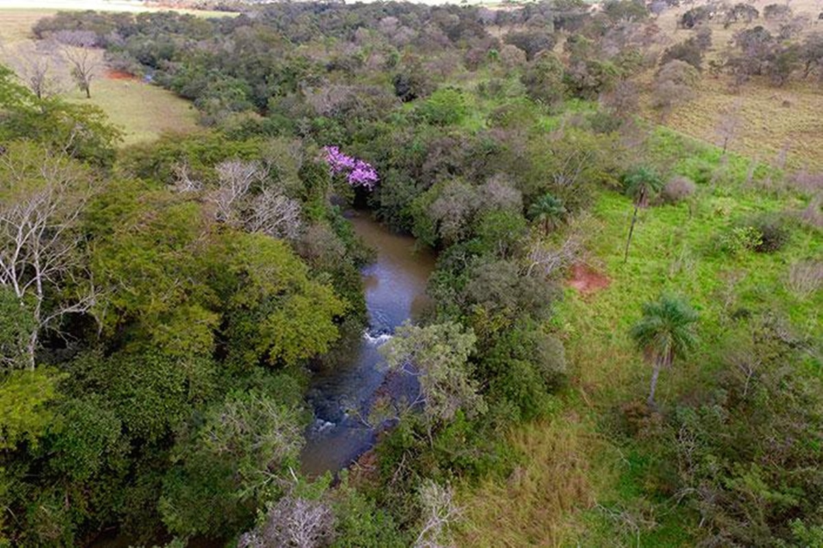 Ribeirão Marinheiro Pedranópolis