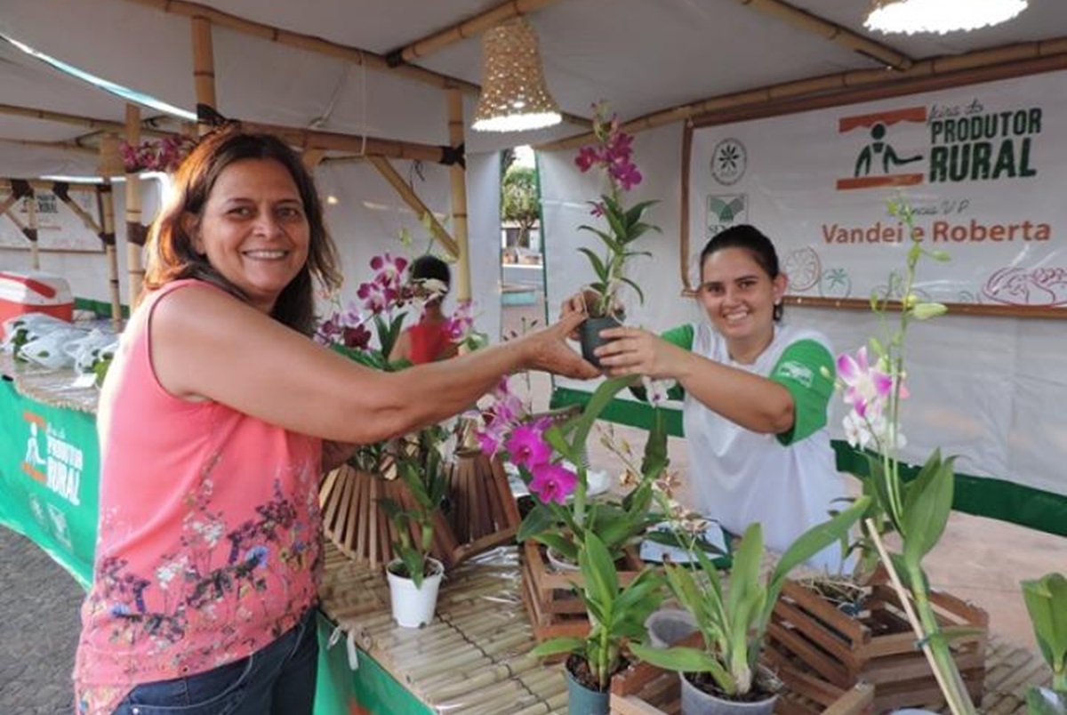 Feira Livre de Mira Estrela
