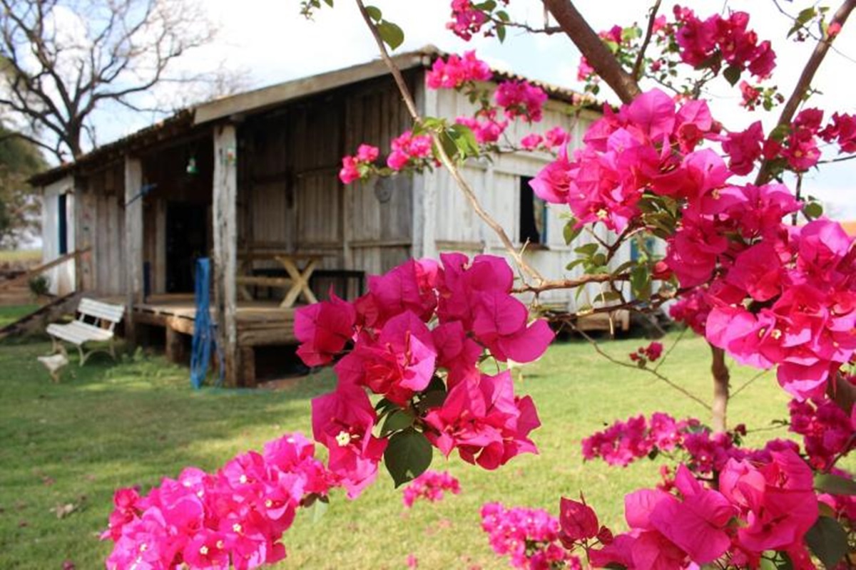 Casa São Pedro Votuporanga