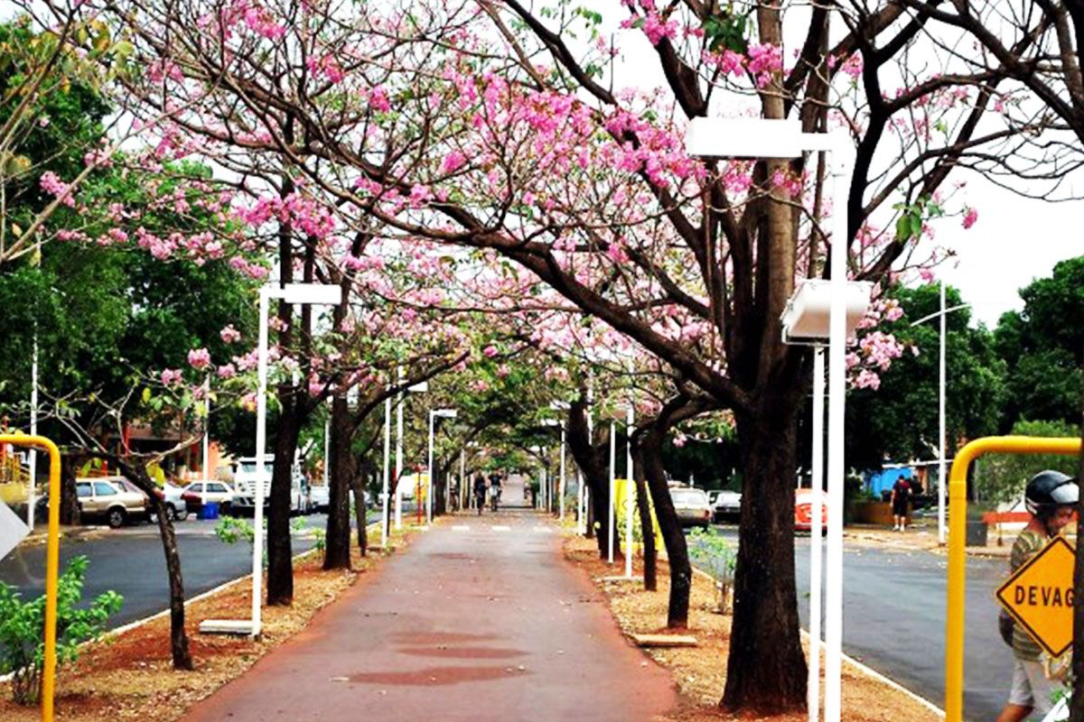Prefeitura Municipal de Ilha Solteira - SP