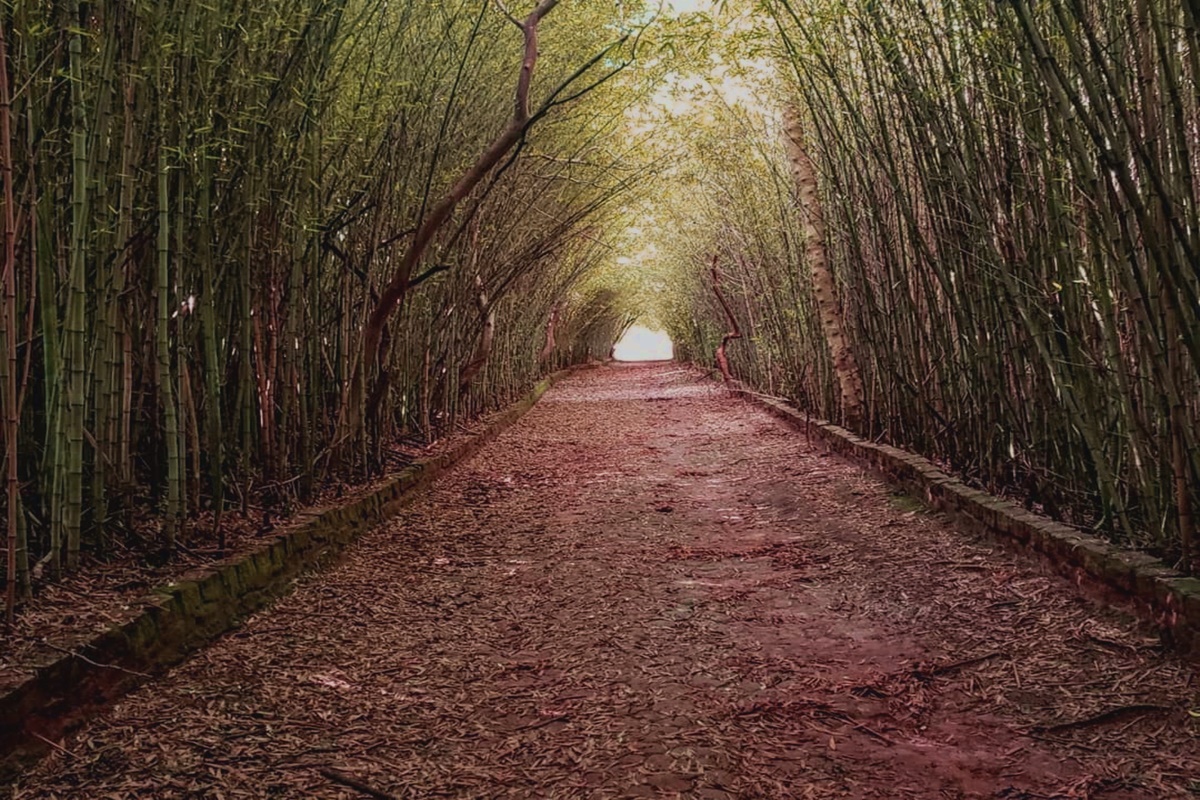 Parque Ecológico Eugênio Walter em Boituva - SP