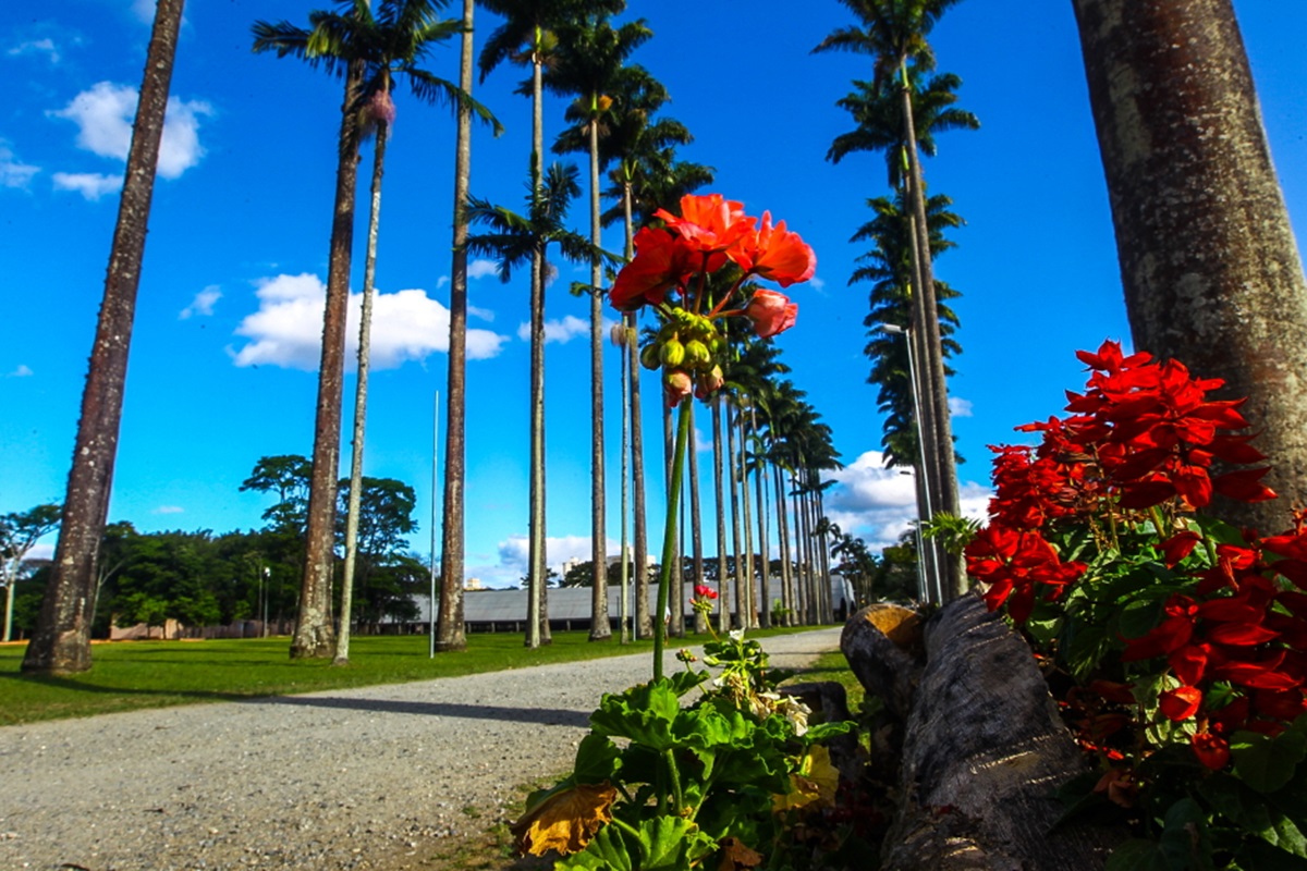 Parque da Cidade São José dos Campos - SP