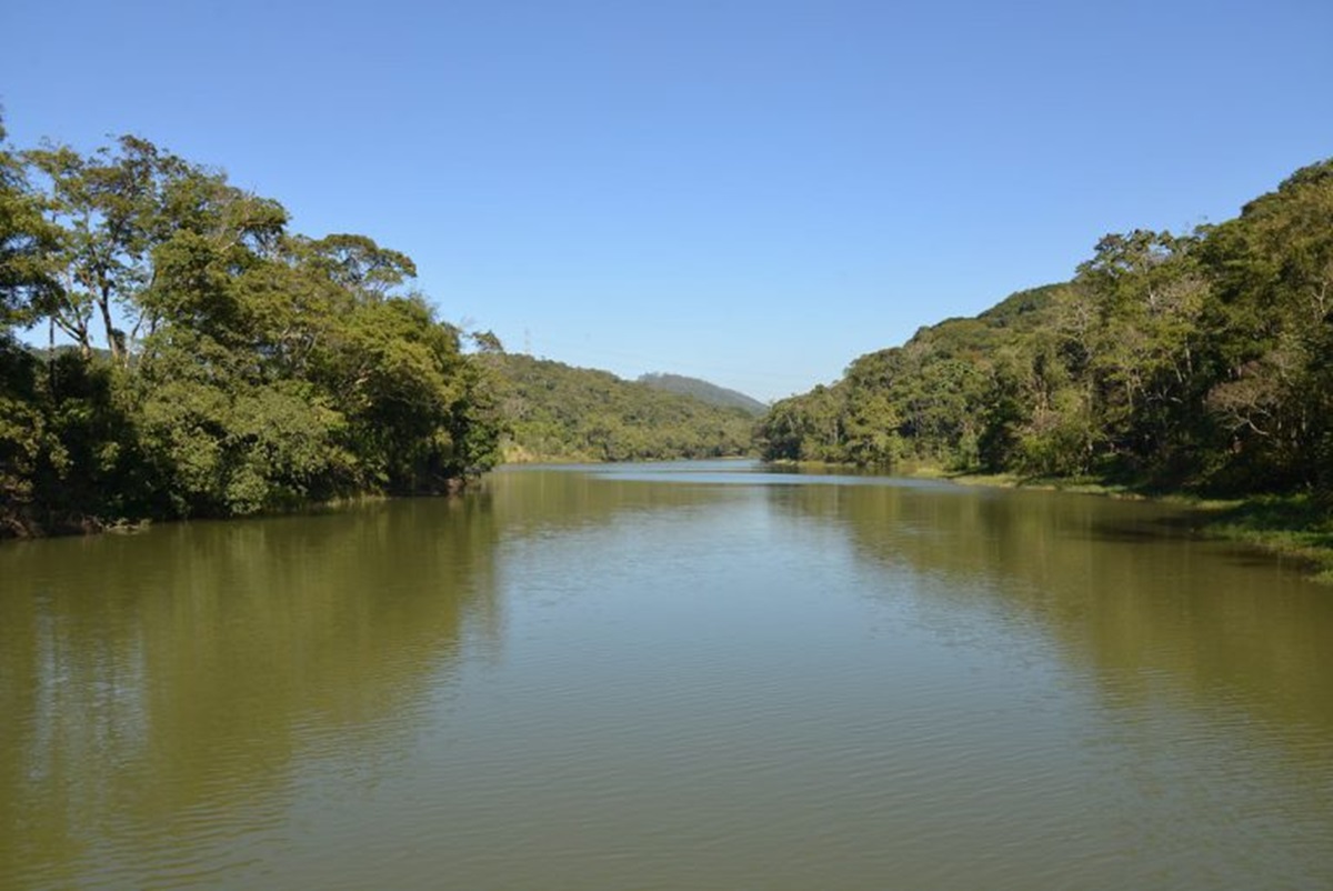 Parque Natural Municipal do Pedroso Santo André - SP
