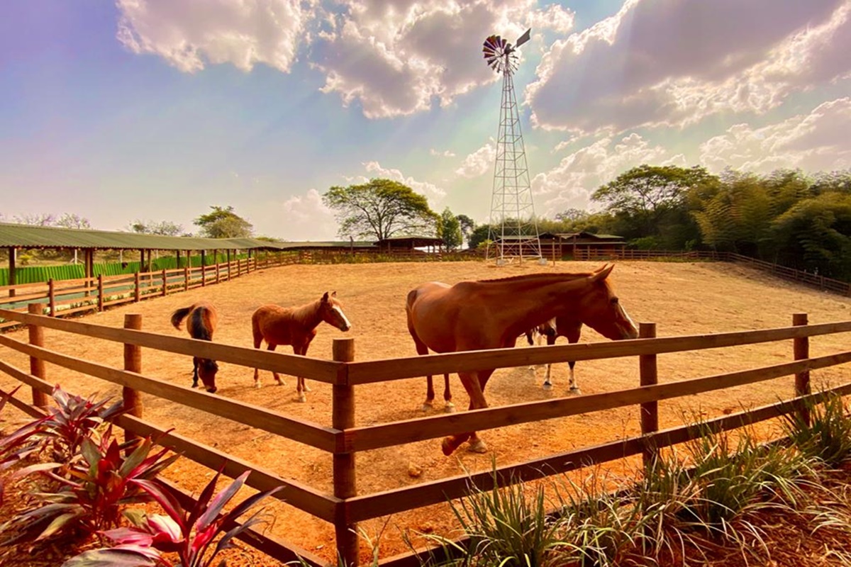 Fazenda Smart Farm em Guarulhos - SP