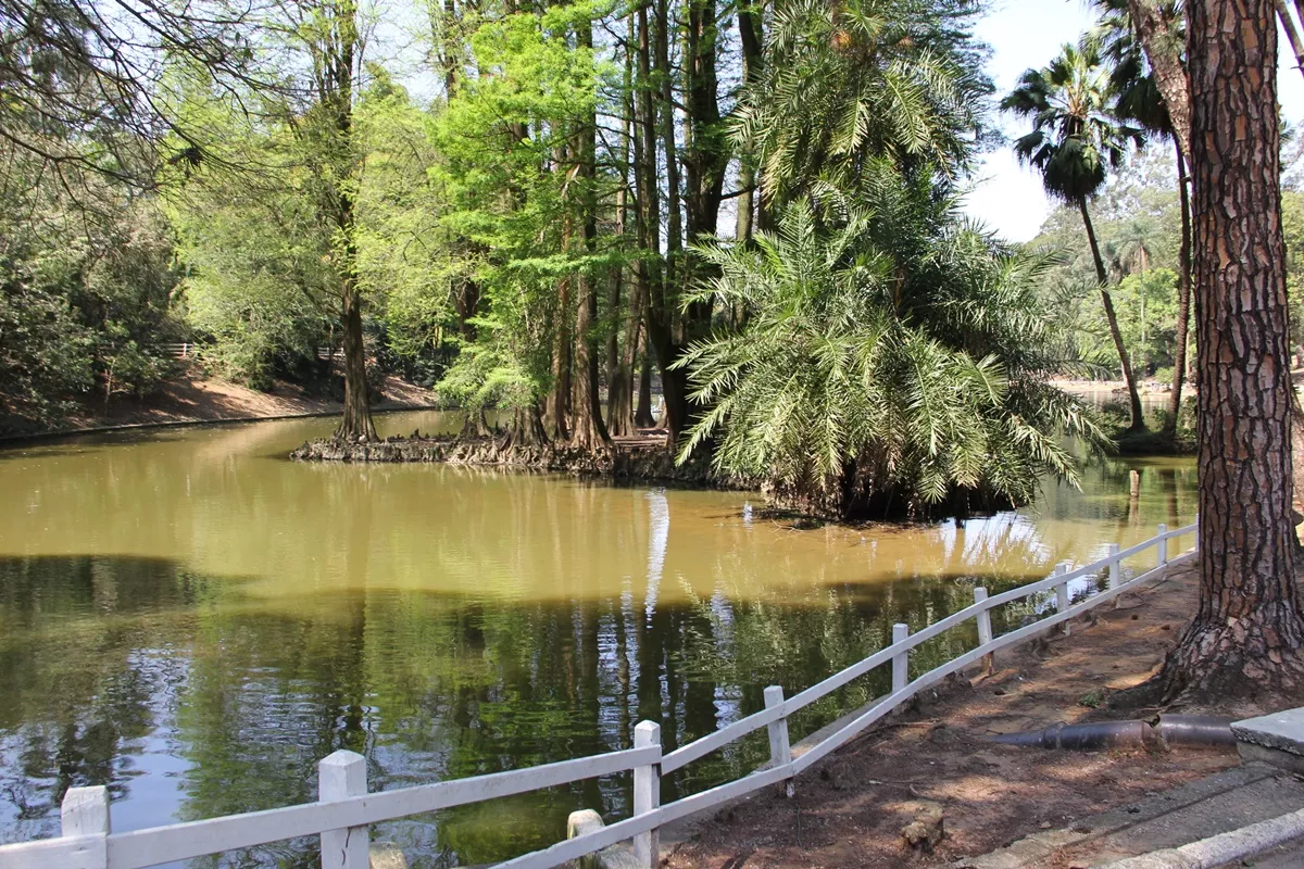 Parque Estadual Alberto Löfgren - Horto Florestal em São Paulo