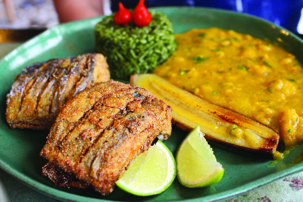 Taioba Gastronomia - São Sebastião