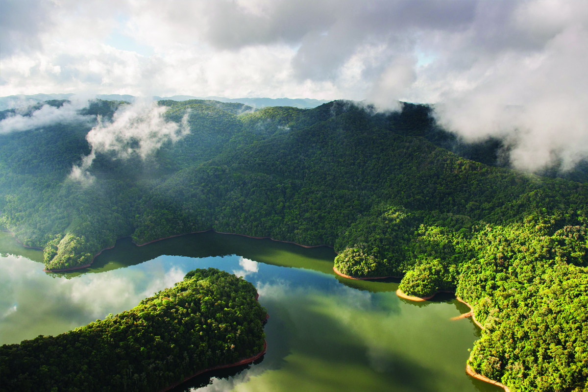 Parque Estadual do Jurupará - Ibiúna - SP