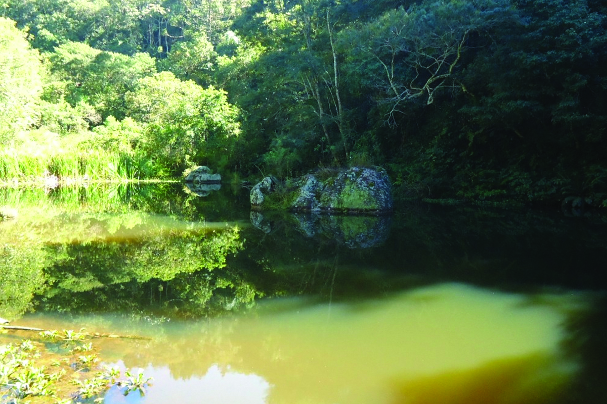 Cachoeira da Vargem do Salto - Ibiúna - SP