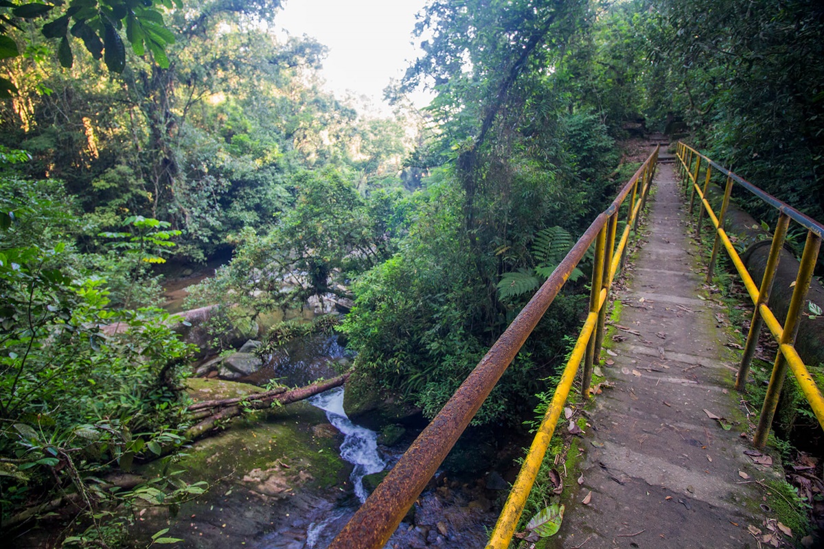Trilha do Poço das Antas em Mongaguá